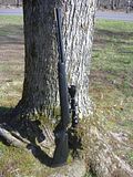 muzzleloader001.jpg image by samcolt7